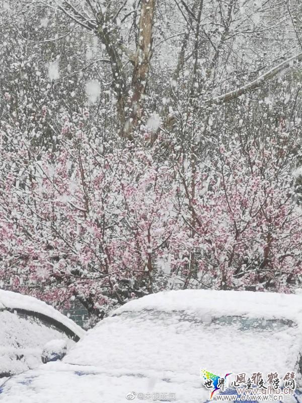 河南多地迎来“三月桃花雪” 专家：四月也下过雪